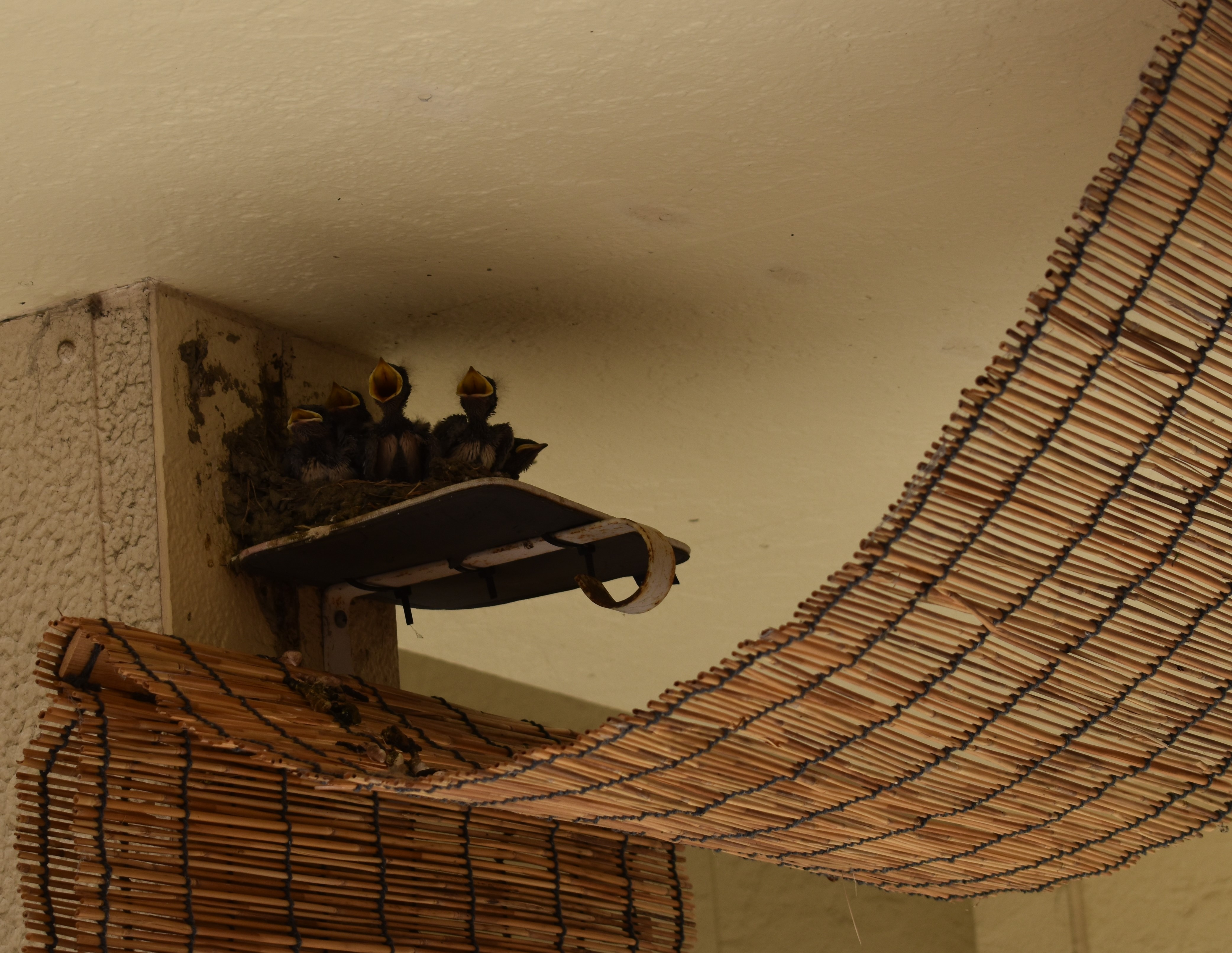 コンサルティング事業